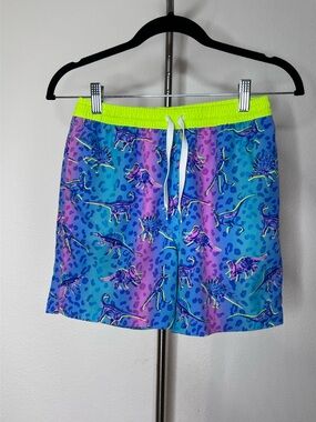 Chubbies Boys' The Dino Delights Magic Print Swim Trunks